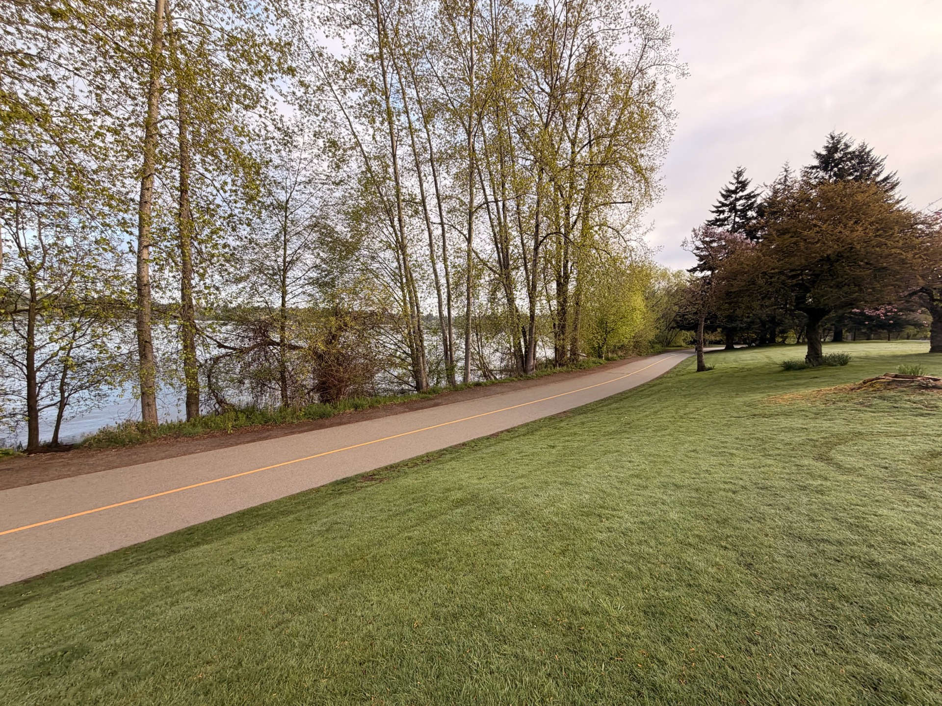 greenlake neighborhood